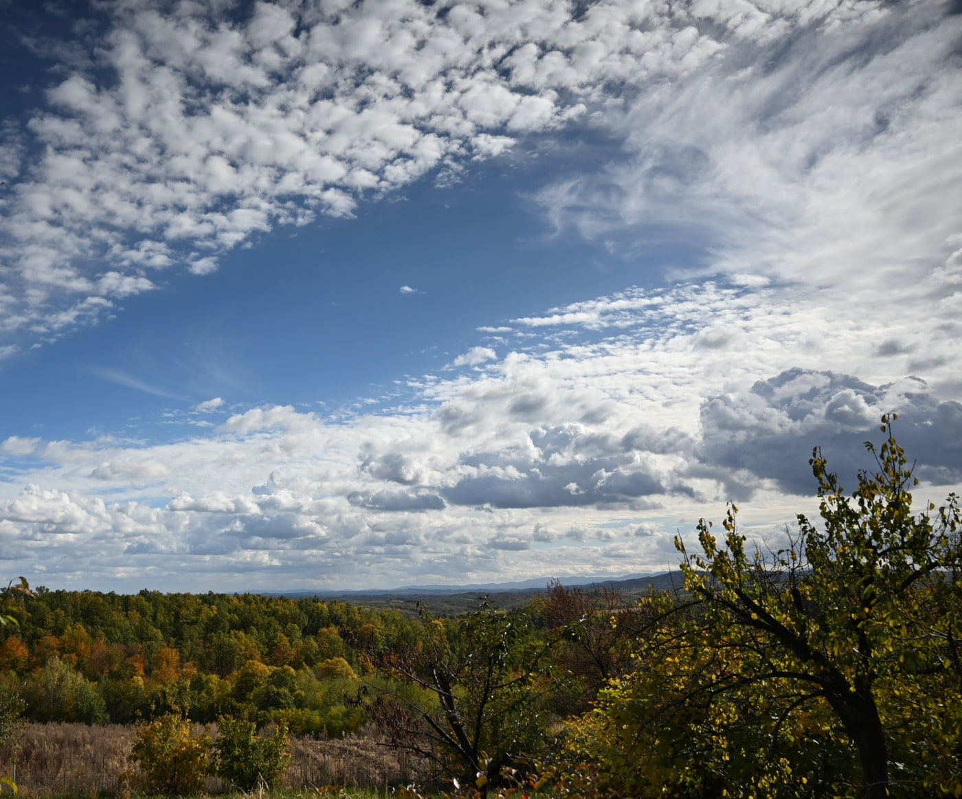 Nikon Z6_3 · NIKKOR Z 24-70mm f/4 S · ƒ/4 · 1/8000s · ISO 280 · 24mm