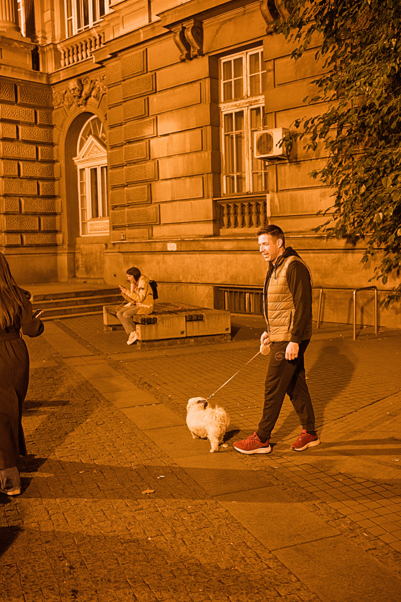 A smiling man walking his small white dog under amber streetlights on election night — people dropped whatever they were doing and went out to celebrate